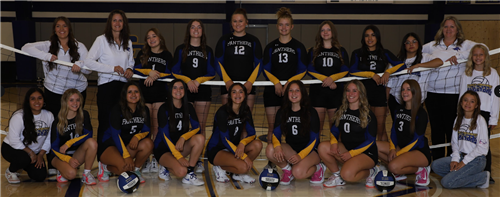 vb team